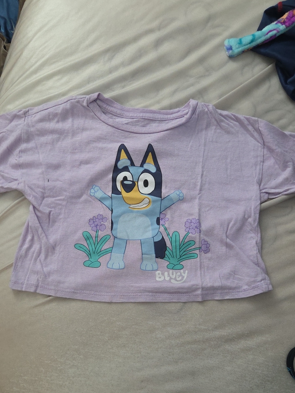 2 for $7 Youth Lavender Bluey Crop Tee - Size Small